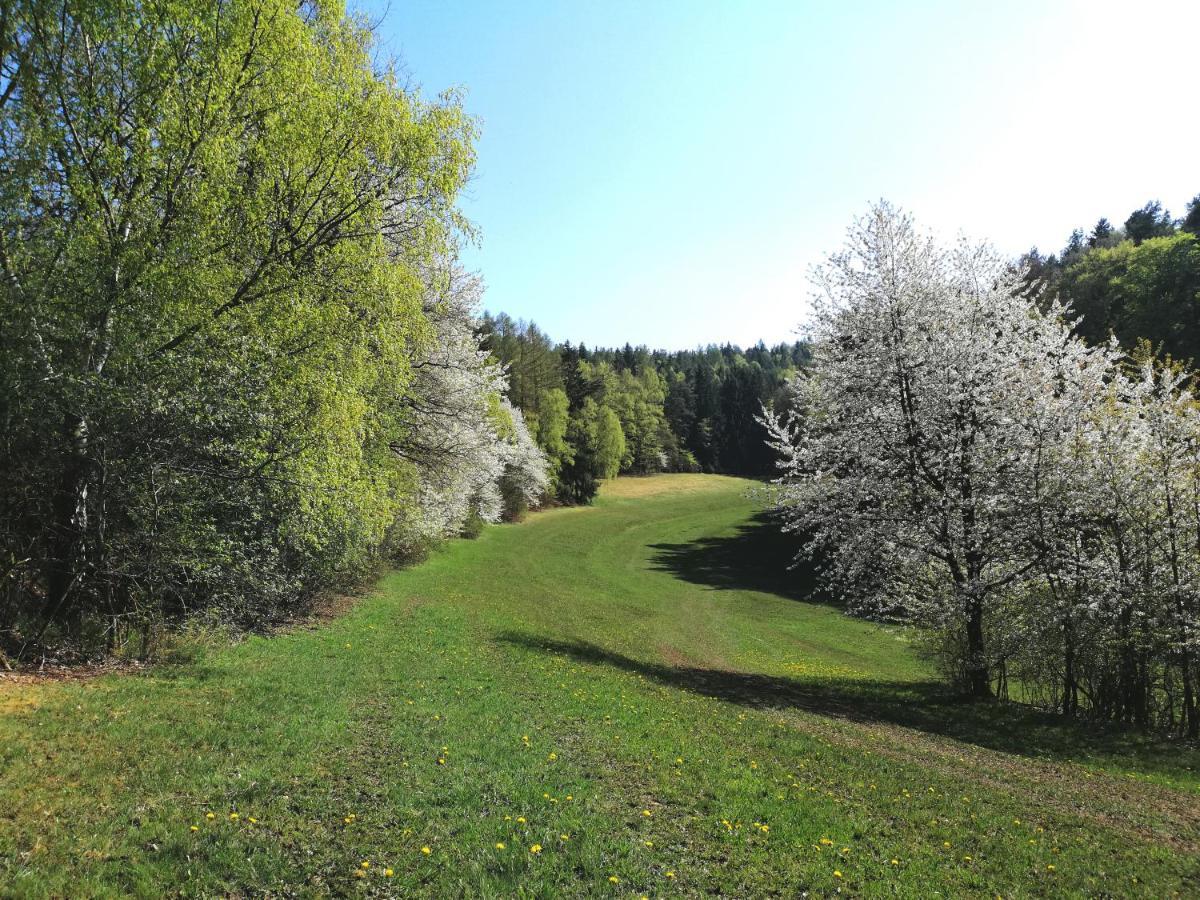 Ferienwohnung Wilhelm Springstille Bagian luar foto
